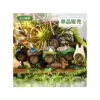 Maison Ghibli Pose Collection Totoro Assortment Of 6 Rings – My Neighbor Totoro- Figurines